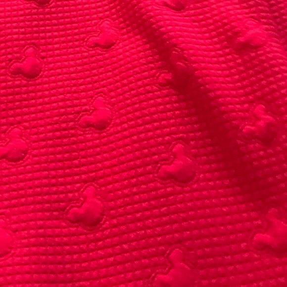 Dinsey Lauren Conrad skirt, worn maybe twice. - Picture 2 of 6